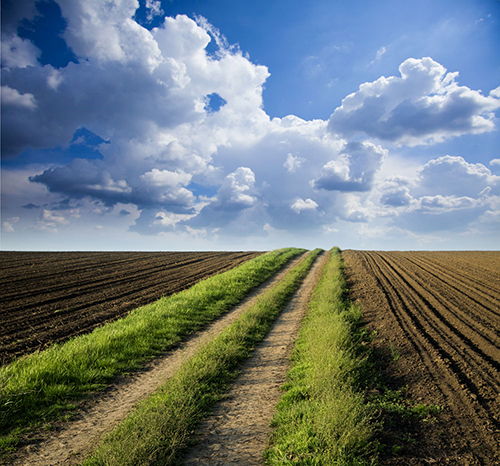“土十條”出臺 初步遏制全國土壤污染加重趨勢