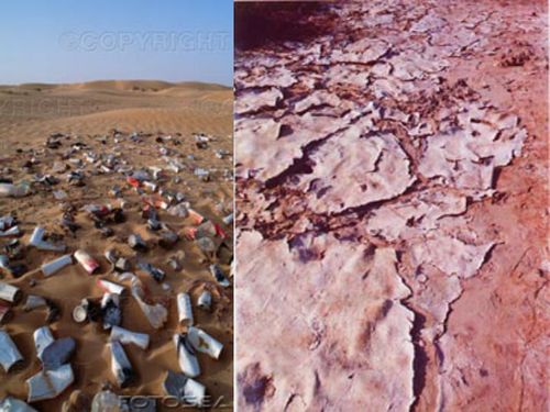 守護大地之基 土壤污染綜合防治策略與服務體系建設