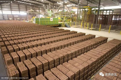 環境治理需精準施策，告別“一刀切”方能共擔責任